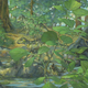 Artist’s reconstruction of the nesting ground of Hypacrosaurus stebingeri. A deceased Hypacrosaurus nestling can be seen with the back of its skull embedded in shallow waters. The mother is portrayed at right.